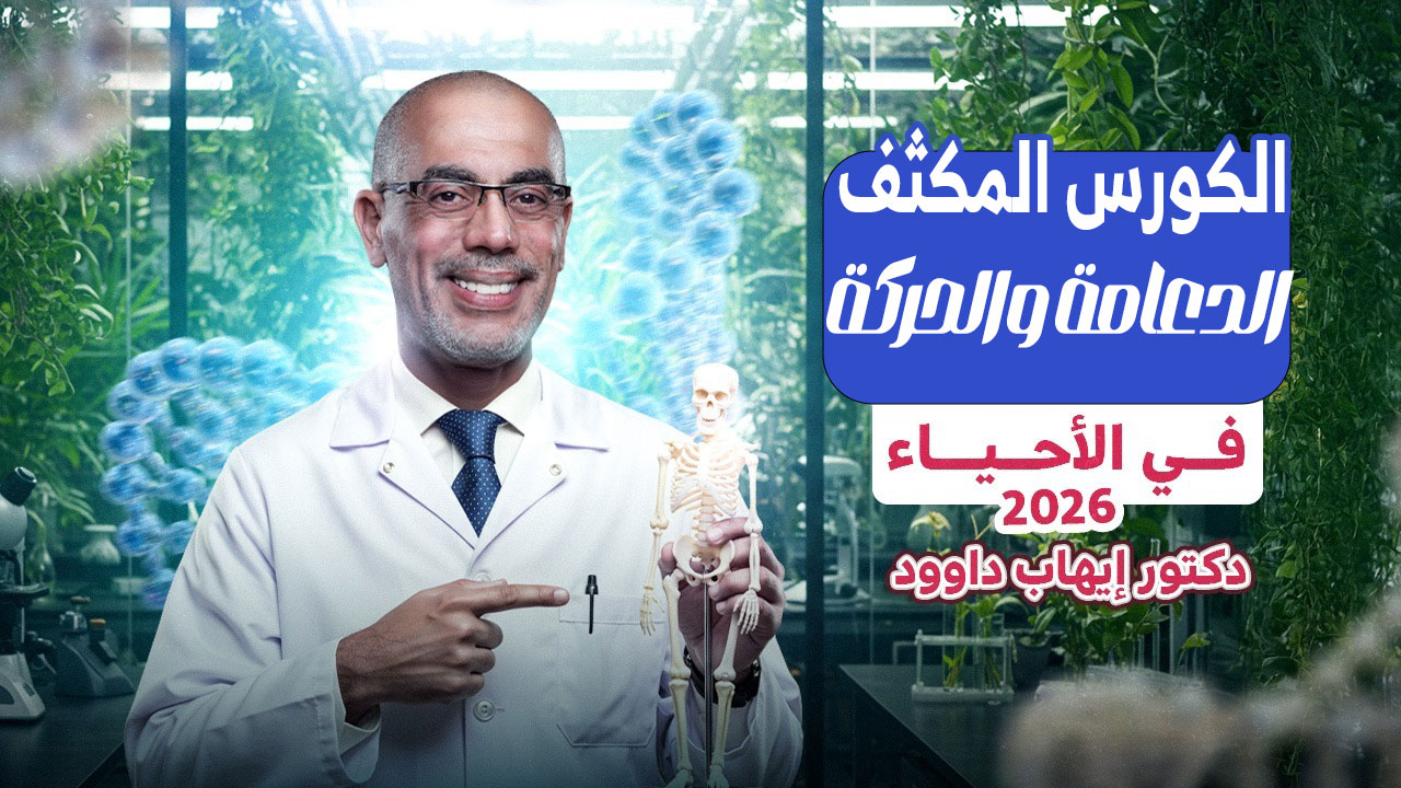 الكورس المكثف للدعامة والحركة